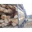 Проект бани "Жокей"